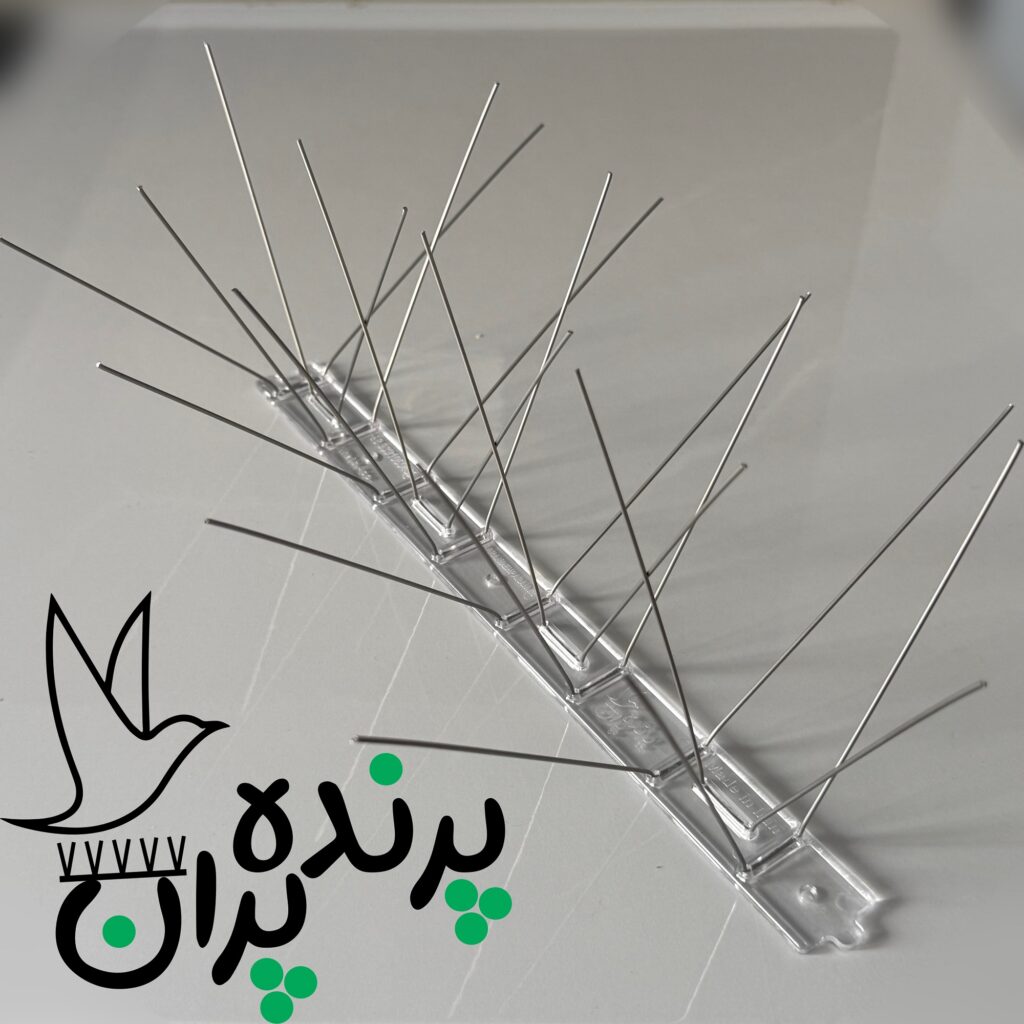 پرنده پران