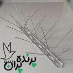 پرنده پران
