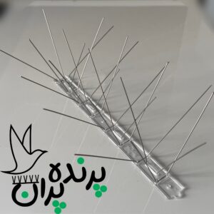 پرنده پران