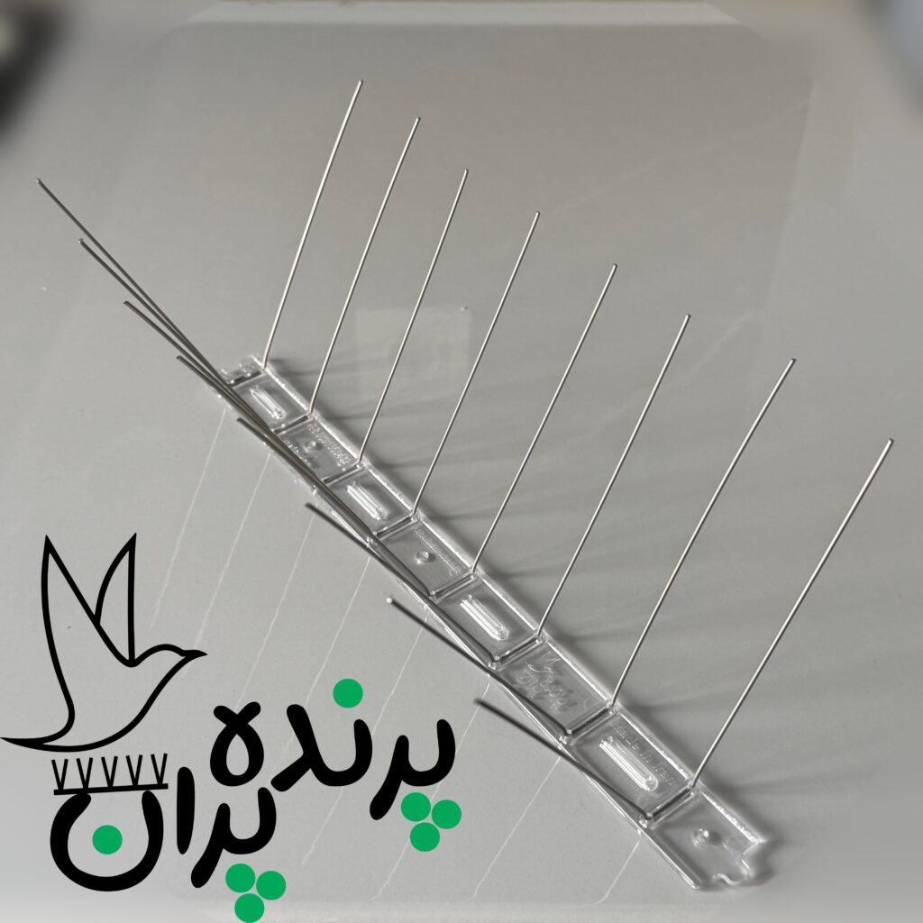 خرید پرنده پران