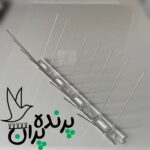 خرید پرنده پران