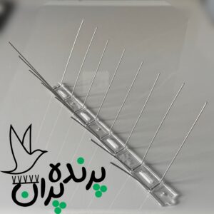 خرید پرنده پران