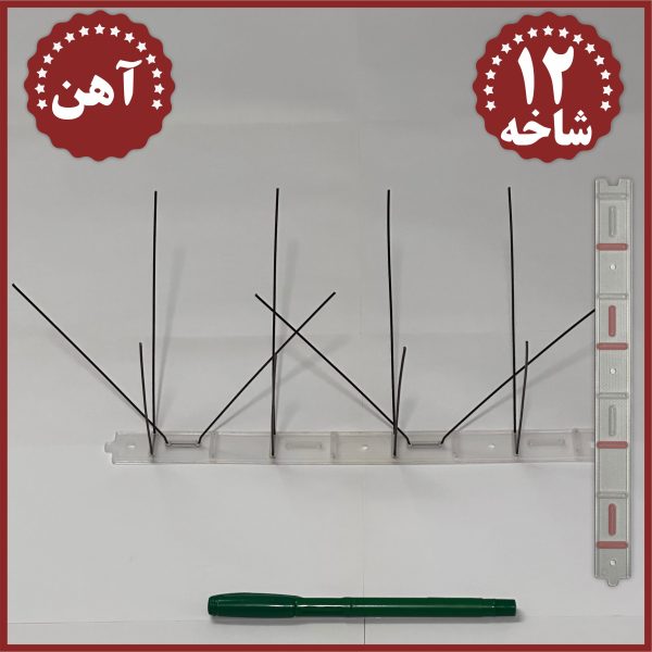 فراری دادن کبوتر چاهی