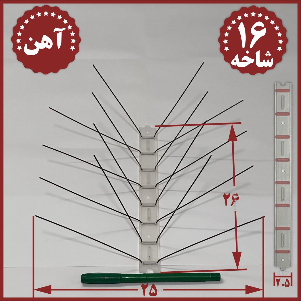 پرنده پران